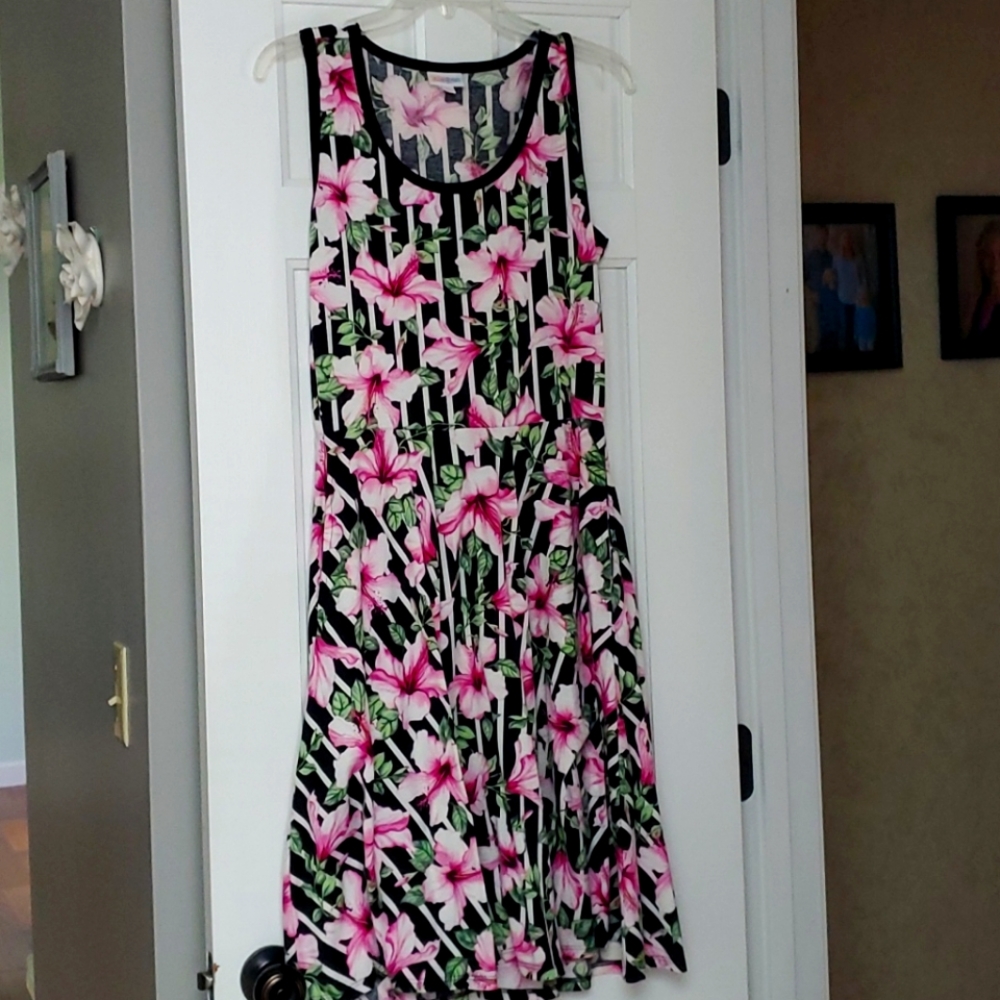 LuLaRoe Nicki Sleeveless dress